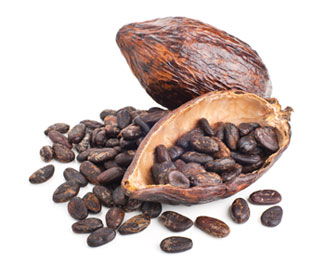 raw cocoa beans and pod