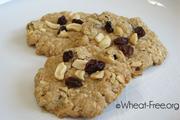 Wheat free Oat Crunchies Cookie recipe | Wheat-free.org