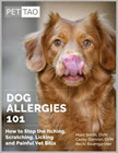 Dog Allergies 101: How to Stop the Itching, Scratching, and Painful Vet Bills
