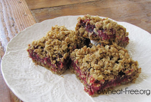 Wheat free Cranberry Oat Bars recipe