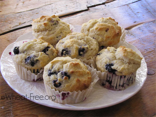 Gluten dairy sugar free Blueberry Muffins