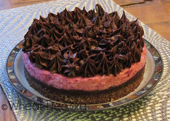 wheat & gluten free cranberry mousse with chocolate frosting dessert recipe