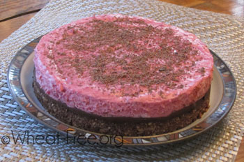wheat & gluten free cranberry mousse dessert recipe