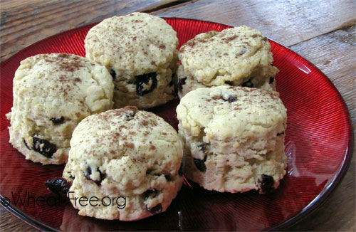 Wheat & gluten free Cranberry Scones recipe