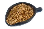 wheat-free.org food fact file - barley