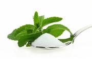 wheat-free.org food fact file - stevia